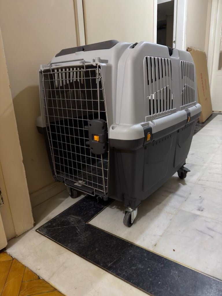 büyük köpek kafesi - 2