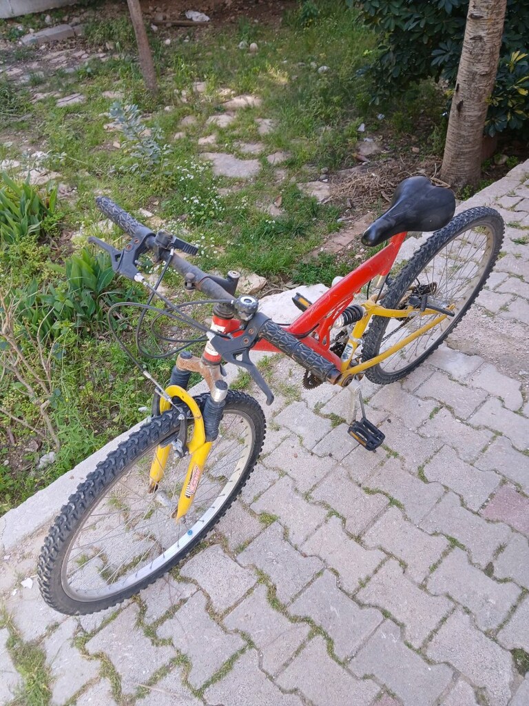 yetişkin bisikleti - 2
