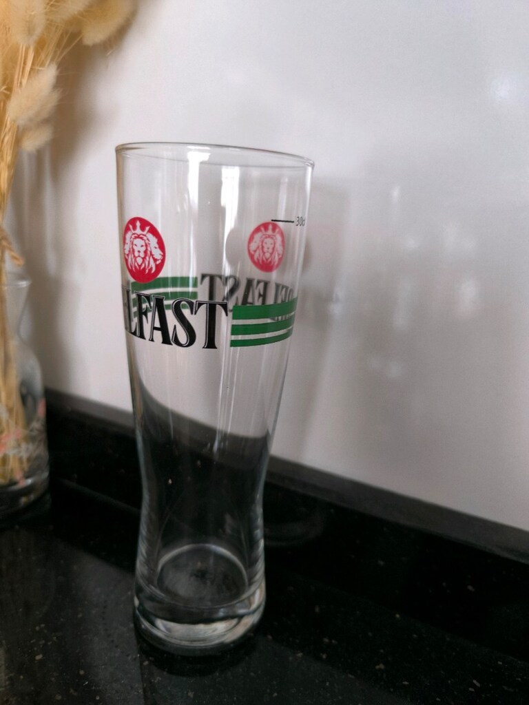 Belfast 30 cl Cam Bardak - 2