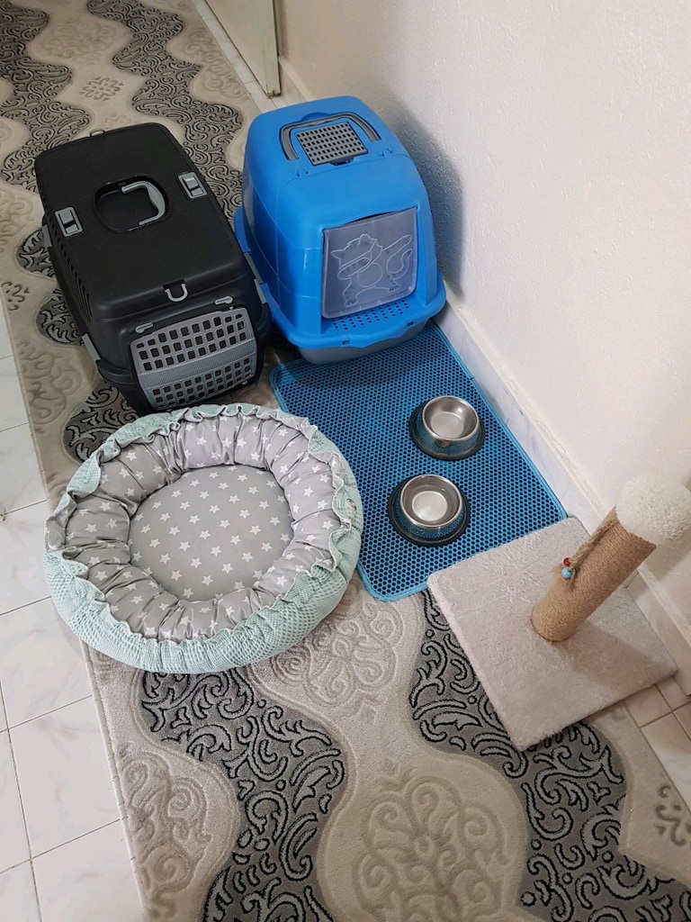 TAM TAKIM KEDİ MALZEMELERİ