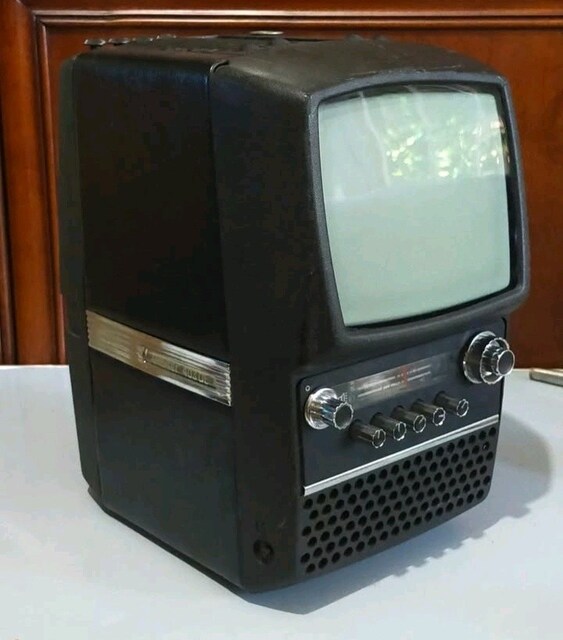 Taşınabilir televizyon
