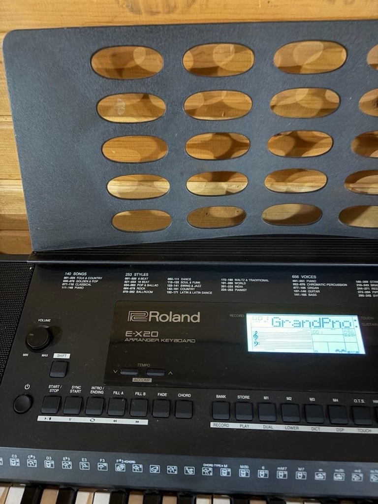 Roland Ex-20 Org Tuş Hassasiyetli Sıfır - 4
