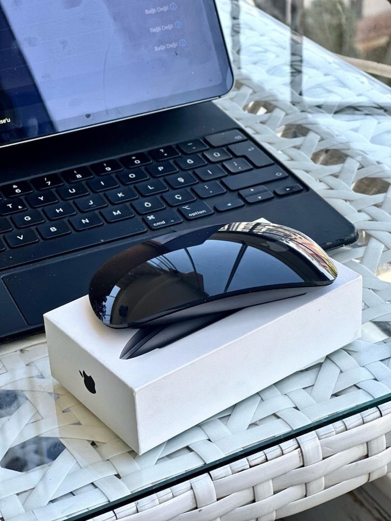 Magic Mouse 2 - 2
