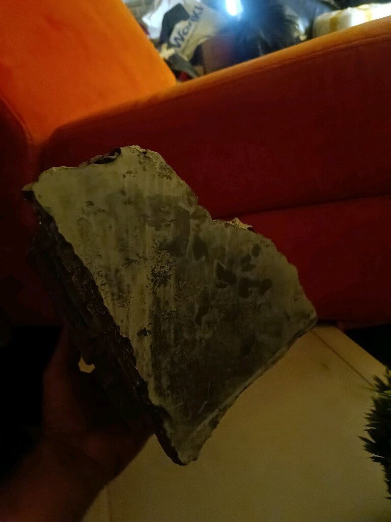 akvaryum süsleri - 2