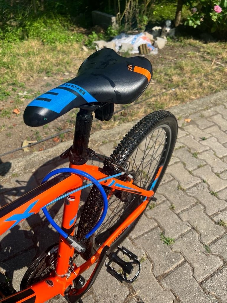 Bianchi Rcx 226 bisiklet