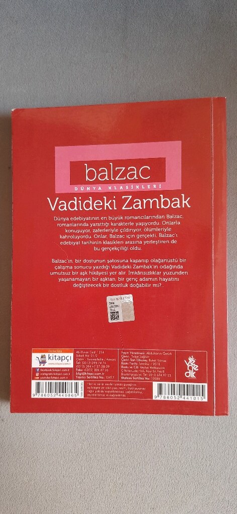 BALZAC'ın ünlü eseri VADİDE Kİ ZAMBAK isimli romanı - 3
