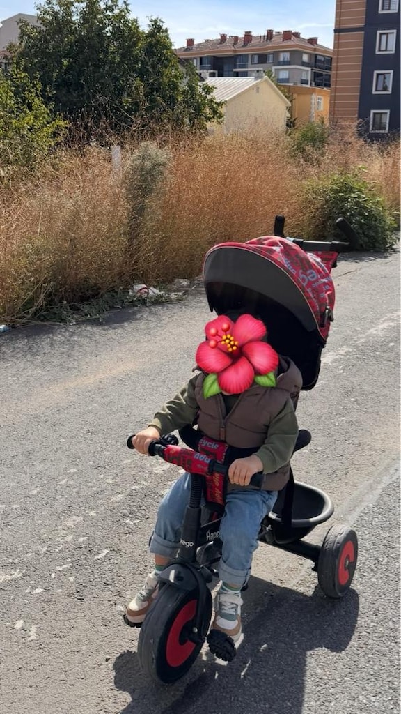 prego happy Dino ebeveyn veya ebeveynsiz kullanımlı bisiklet