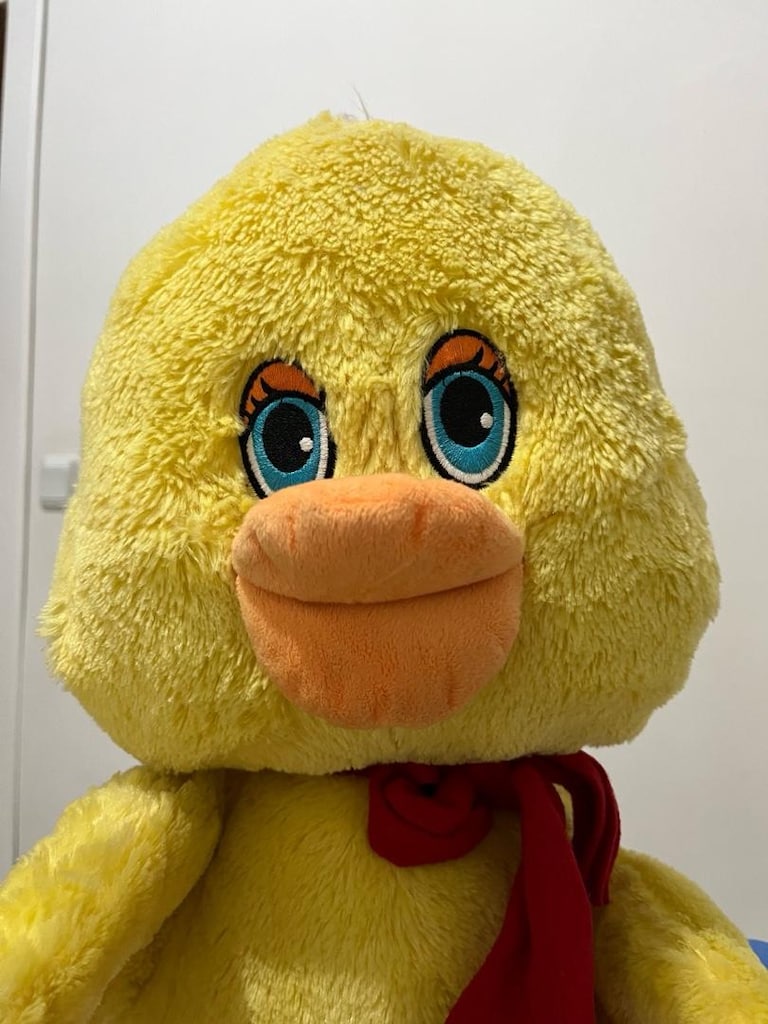 peluş ayıcık - 3