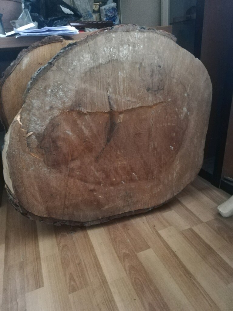 2 adet kütük masa çam ağacı kalın masa tablası