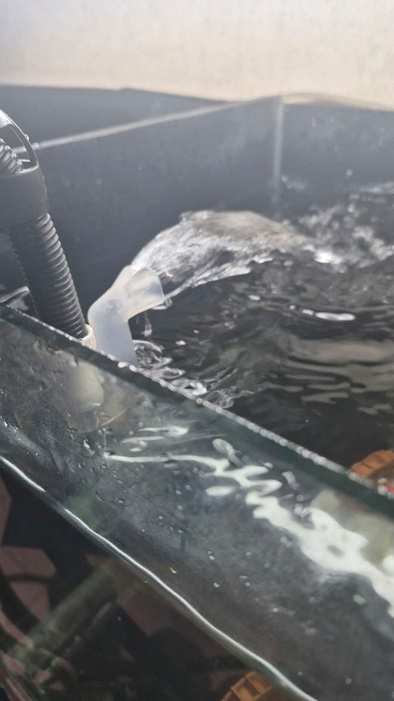 FLUVAL 206 DIŞ FLİTRE - 6