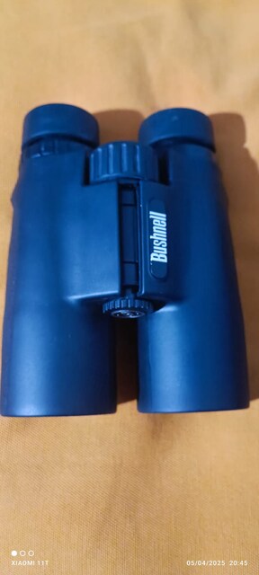 BUSHNELL 10X42 SPORTSMAN DÜRBÜN