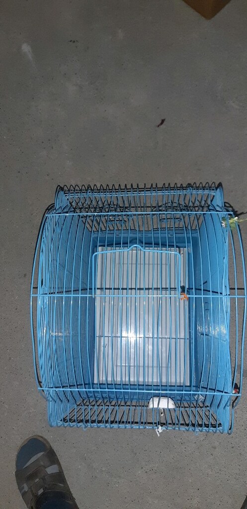 Papahan Kafesi - 2