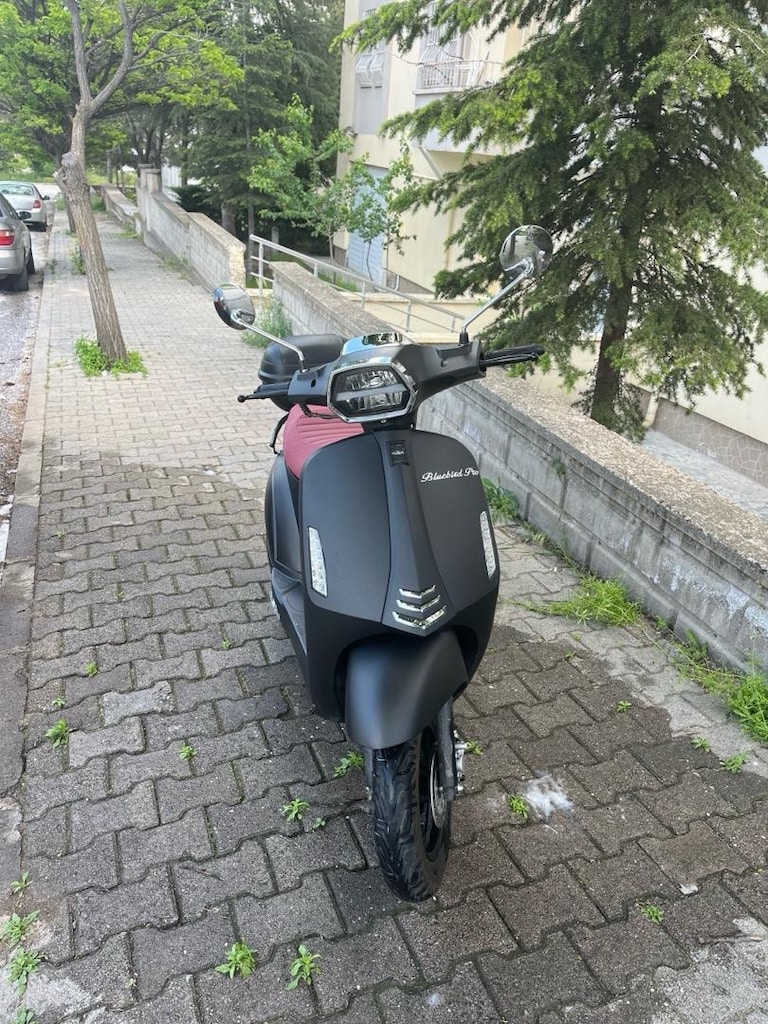 Kuba bluebird pro (80cc) - 3