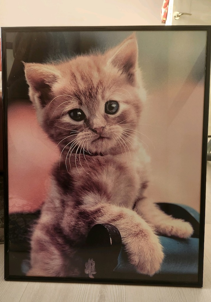 Almanya Üretimi 2003 Vintage Panter Kedi Lale Tablosu - 2