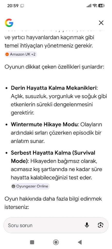 PS4 THE LONG DARK (NADİDE) - 2