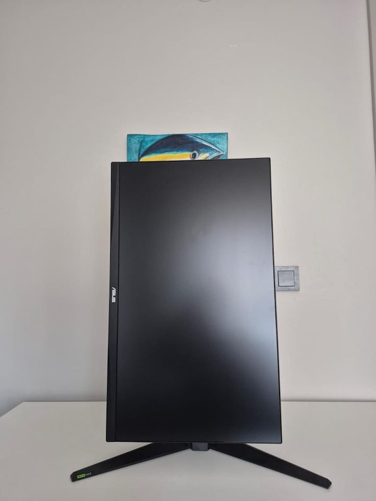 ASUS Monitör - 2