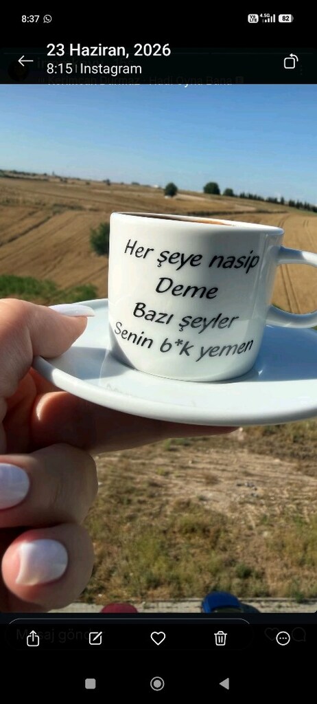 otomatık anakucagı - 3