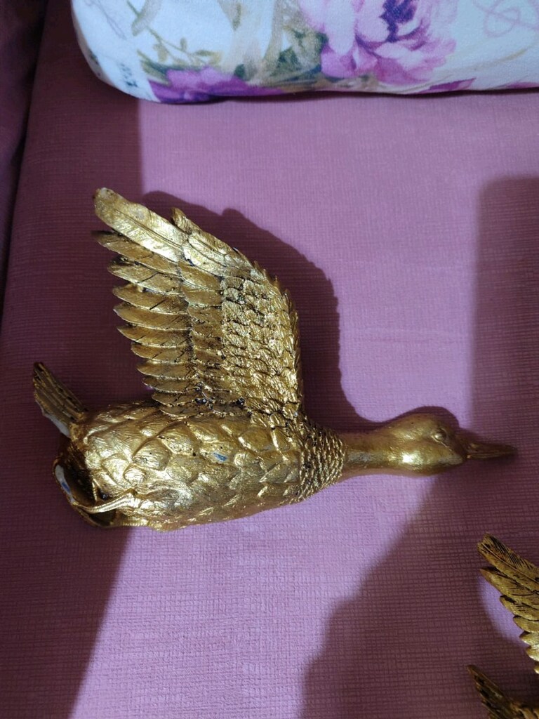 Süs kuş - 4