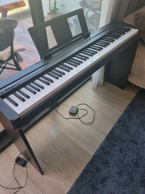 yamaha P45