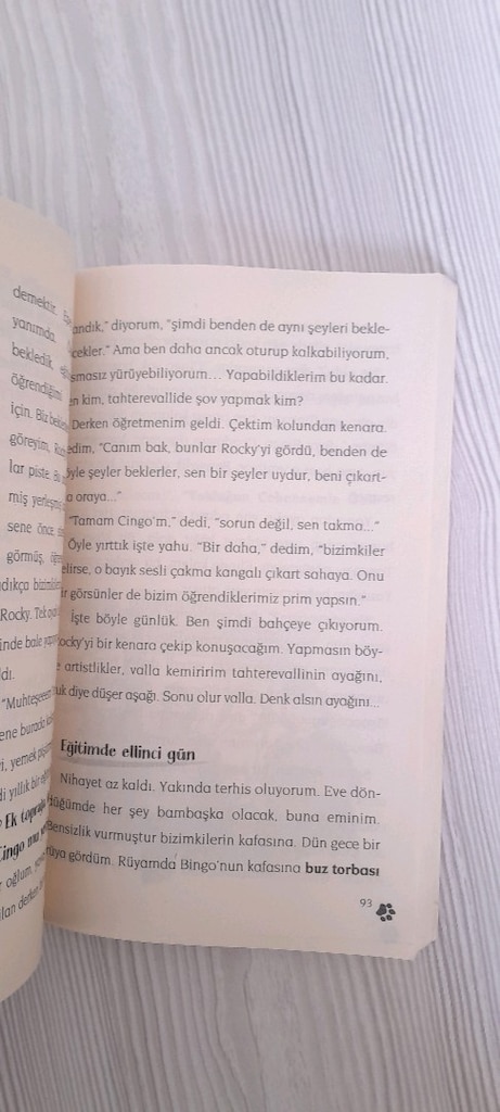 CİNGO BEN İNSAN DEGILMIYIM - 4