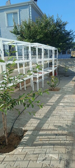 satılık raf