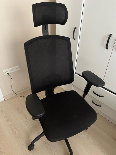 ofis koltugu nurus
