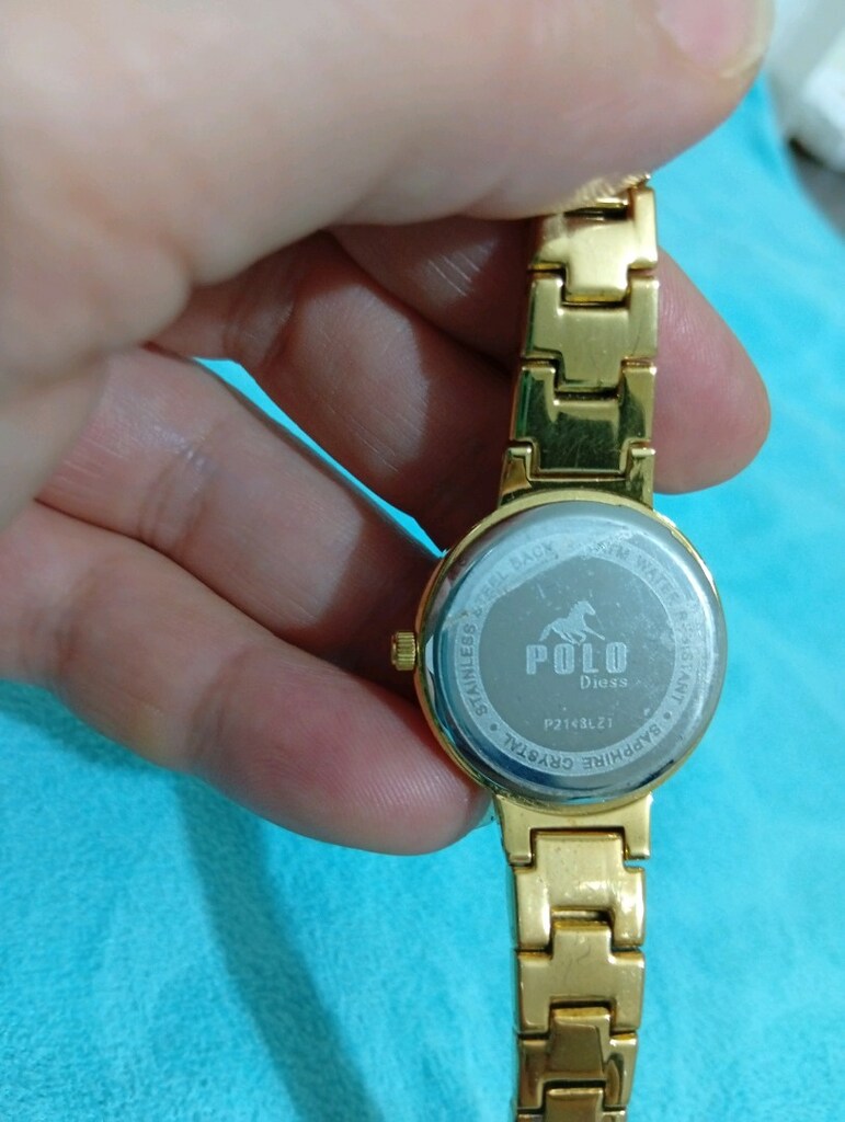 Polo diess kadın saat - 2