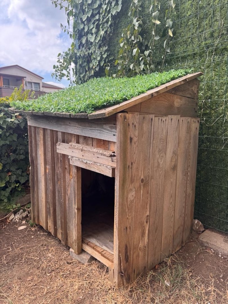 büyük köpek kulübesi - 2