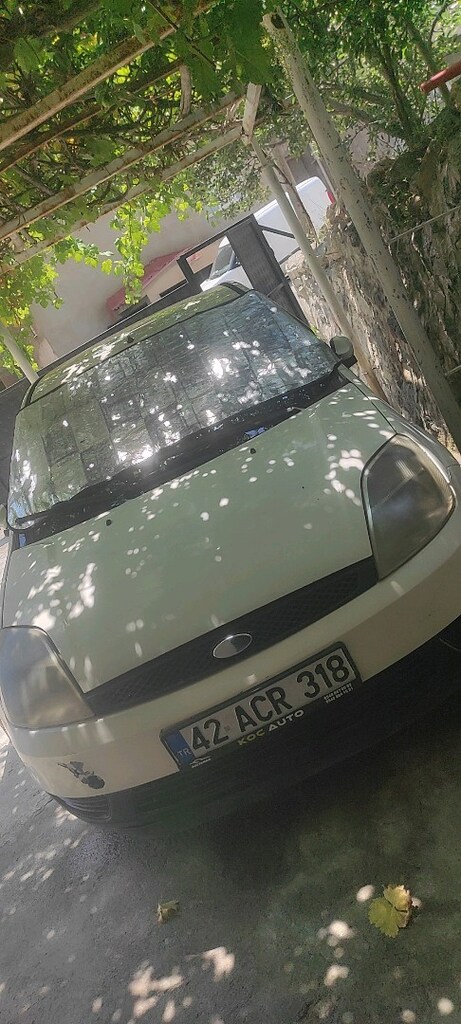 Ford Fiesta - 3