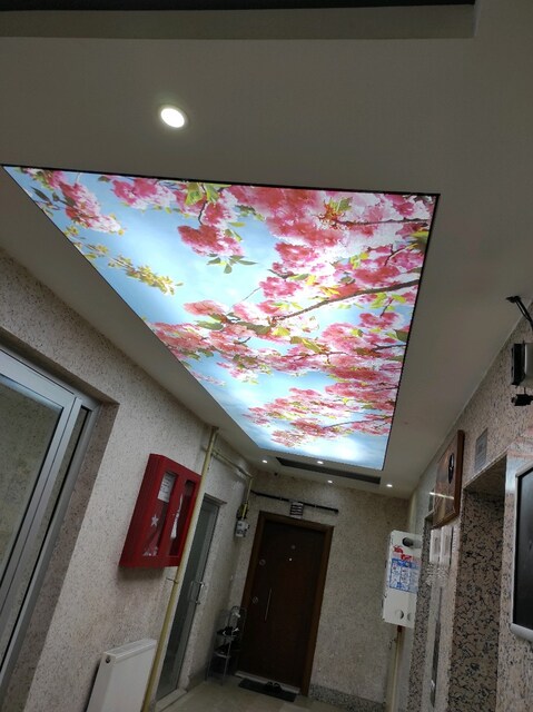 Antalya Gergi Tavan
