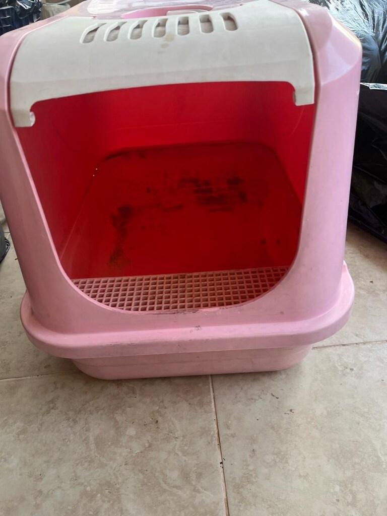KEDİ TUVALETİ BÜYÜK BOY - 2