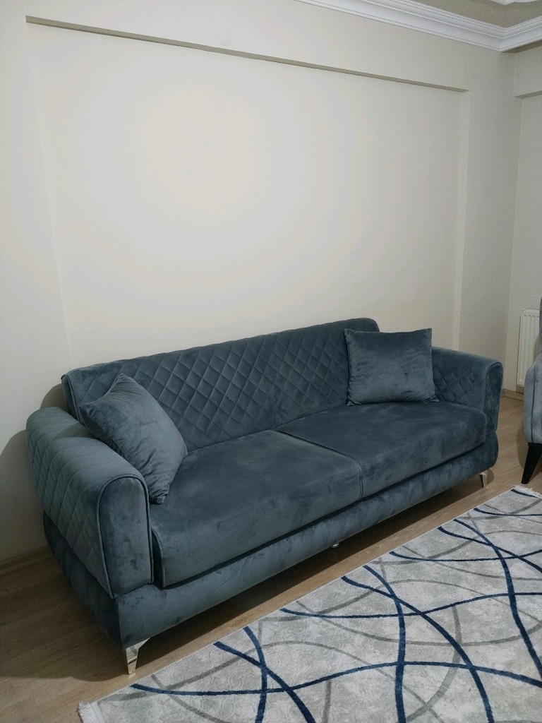 Koltuk takımı (2 adet üçlü 1 adet tekli)( 55.000₺değerinde) - 6