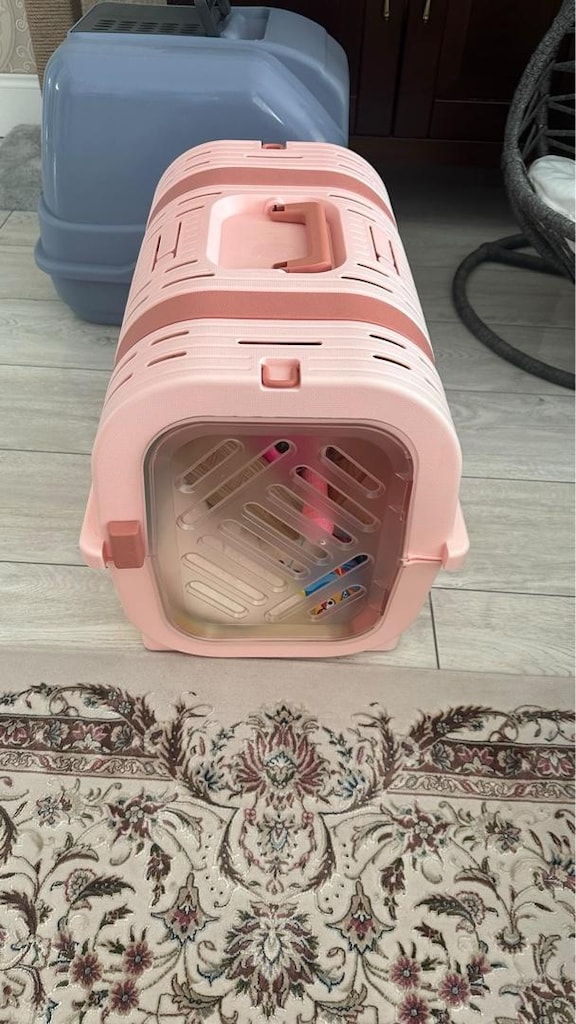 kedi aksesuarları - 2