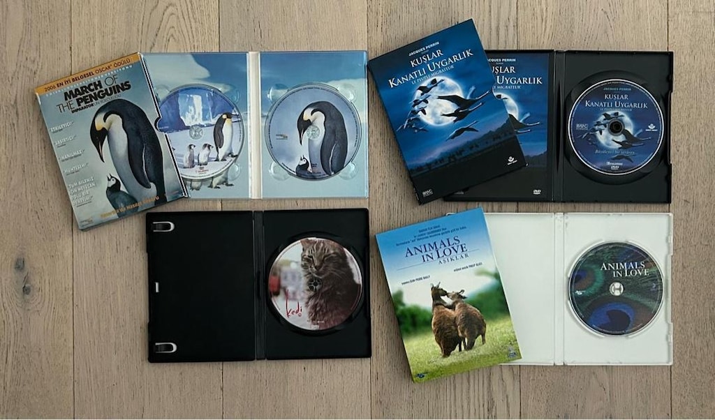 Doğa ve Hayvanlar Temalı 4lü DVD Seti - 3