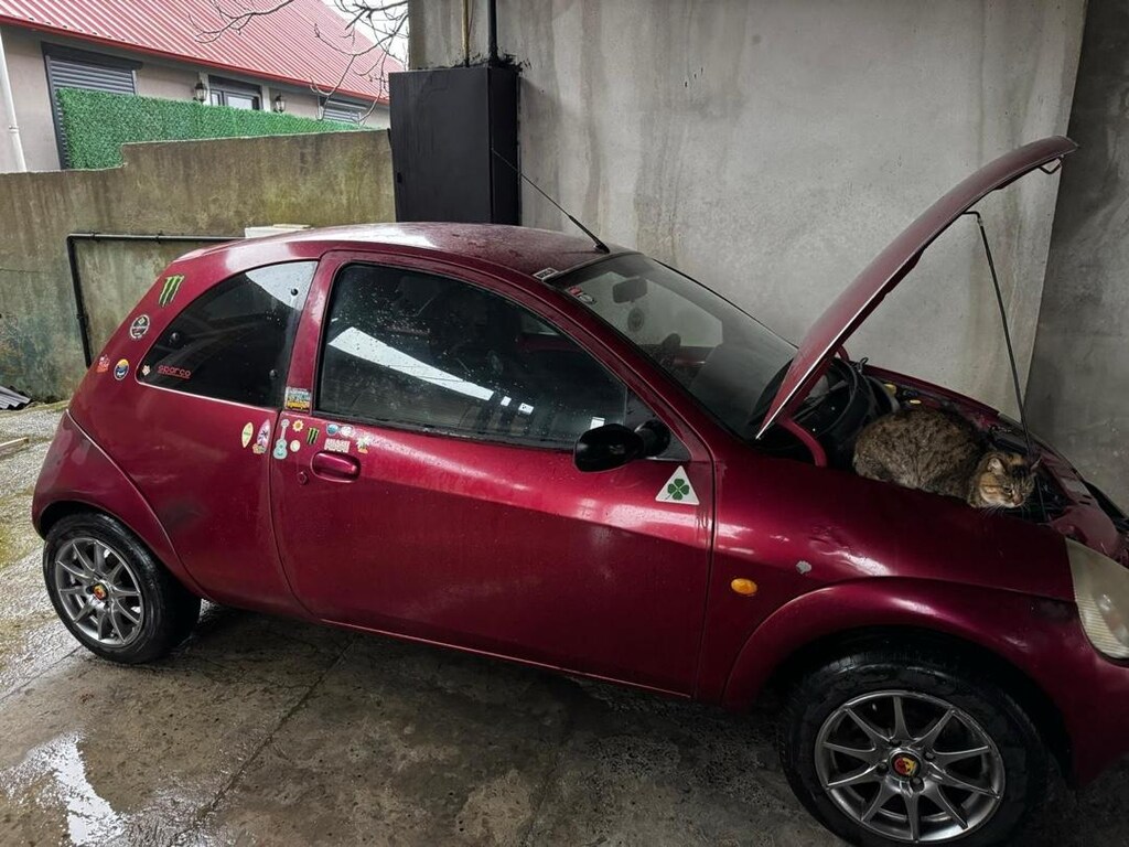 Ford Ka sahibinden temiz sıkıntısız - 15
