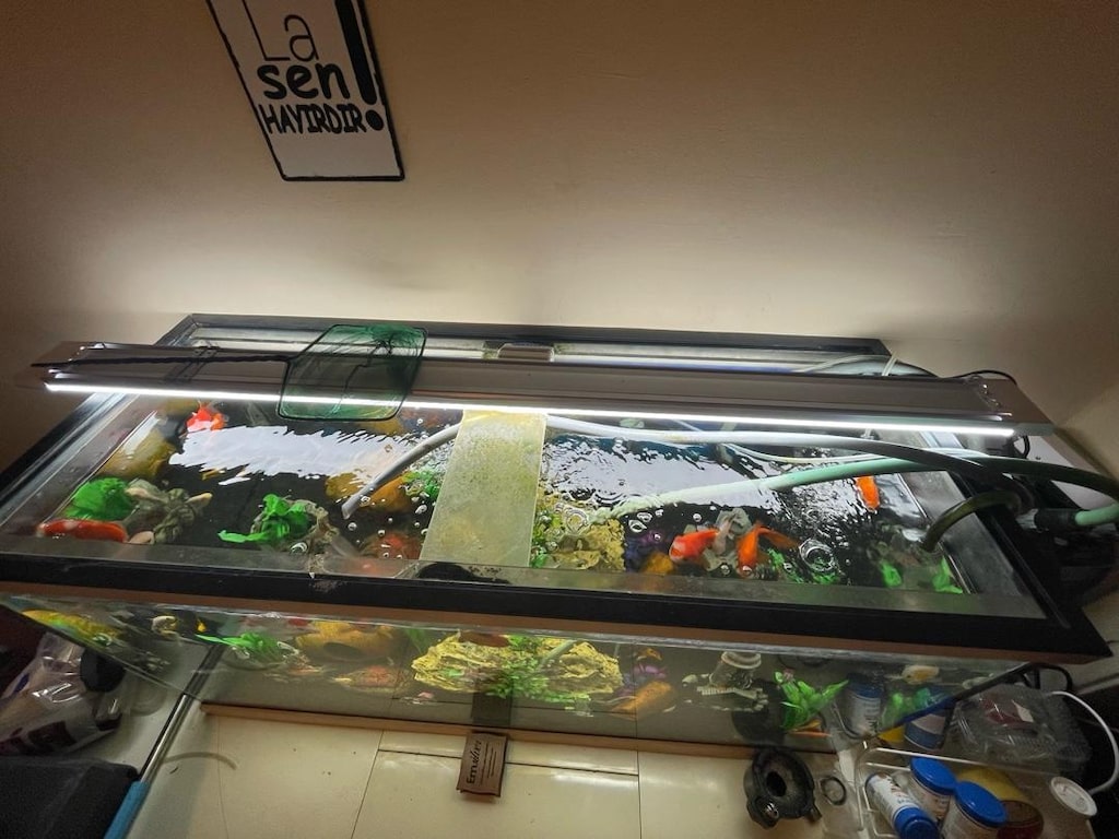 fullll set akvaryum - 2