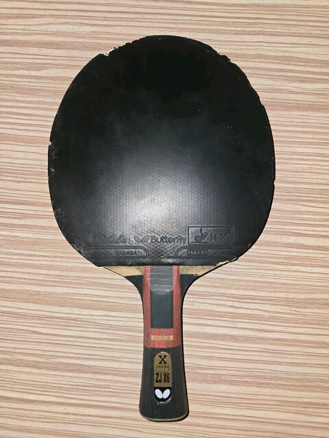 Masa Tenisi Raketi Butterfly ZJX6