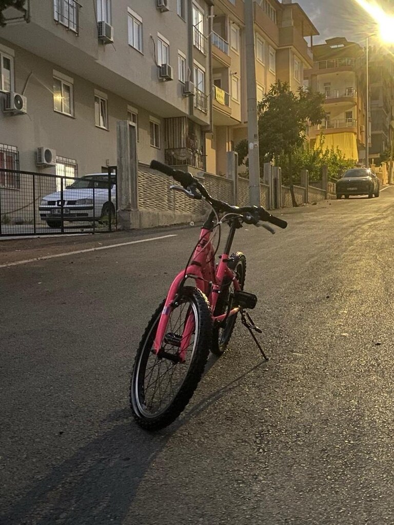 Pembe Bisiklet - 3