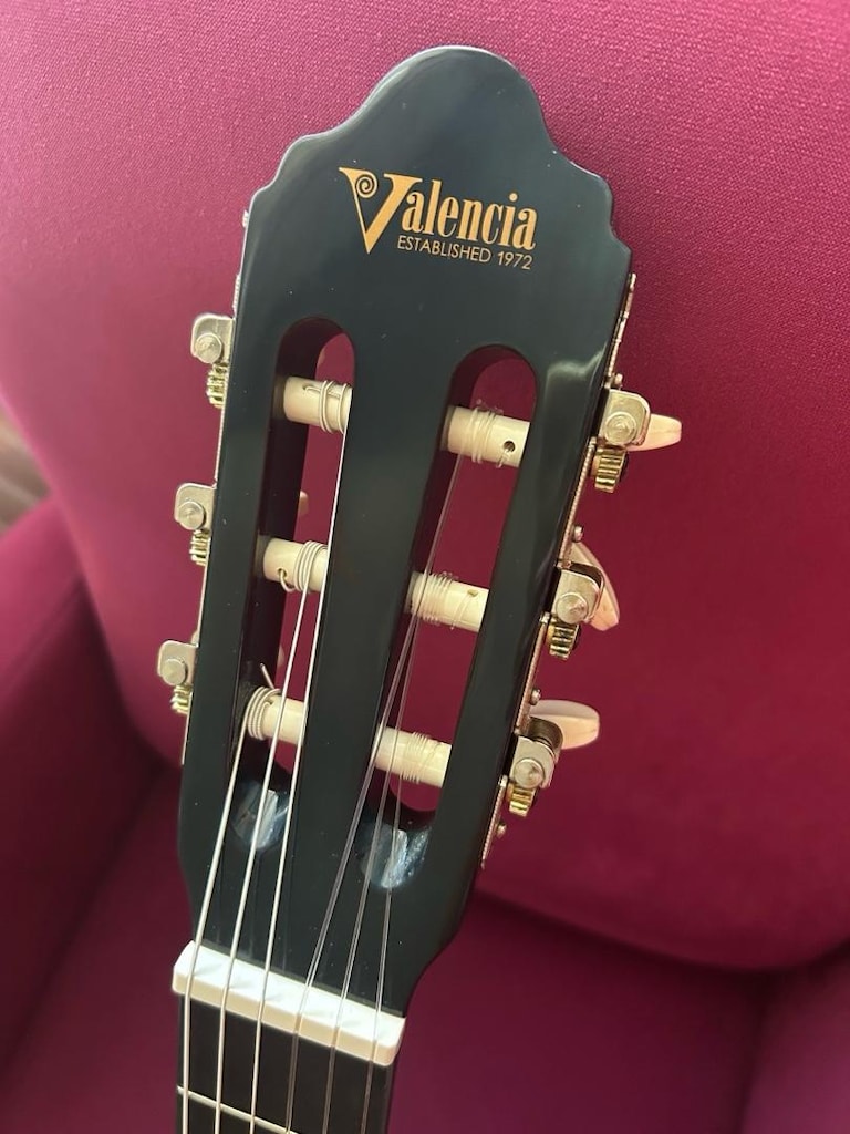 Valencia VC104T Klasik Gitar+Kılıfı - 3
