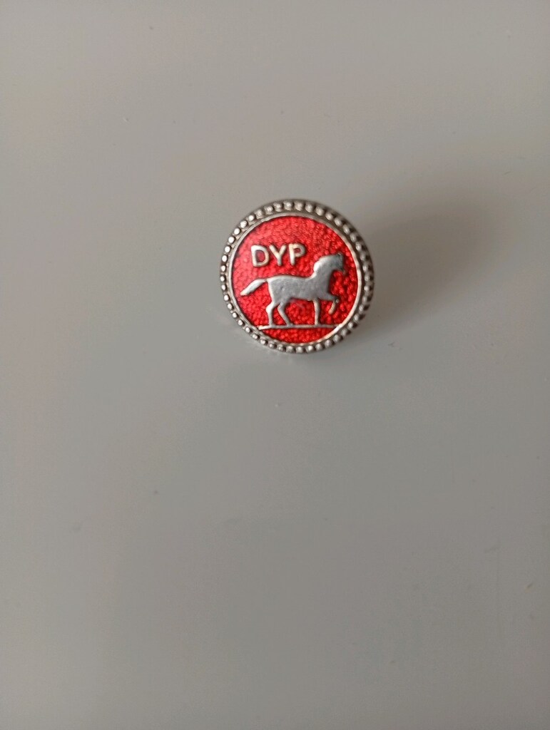 Vintage, Doğru yol partisi, yaka rozeti. Eskilerden kalma bir üründür. - 5
