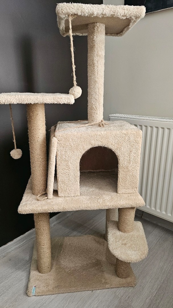 kedi evi - 2