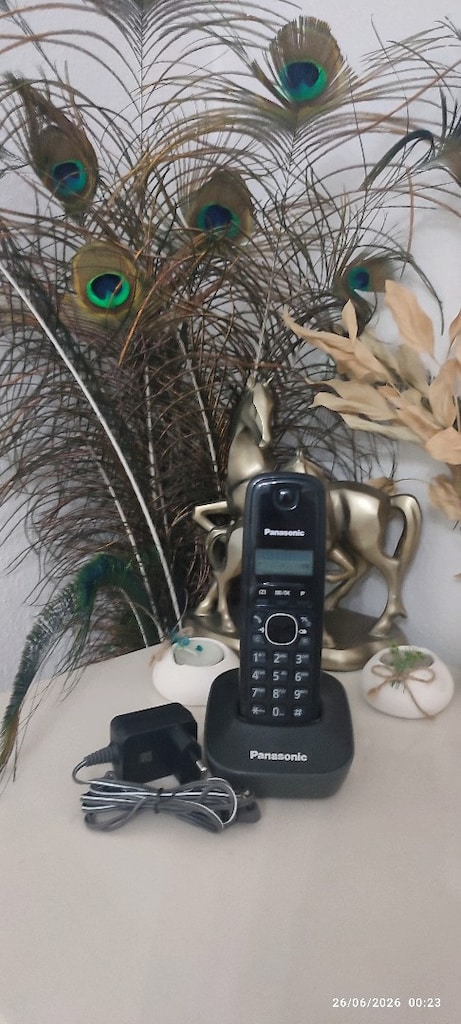 Panasonic Siyah Kablosuz Telefon - 5