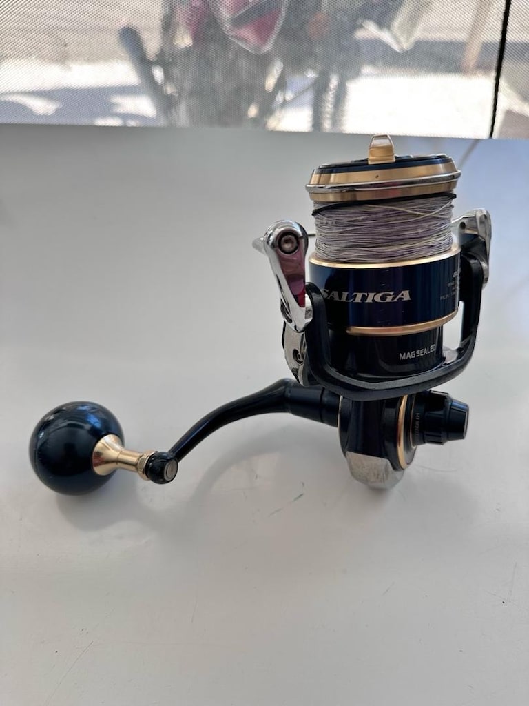 DAİWA SALTİGA 8000 P - 10