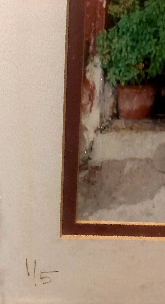 İMZALI SERİ NO LU PASPARTULÜ ÇERÇEVE YOK ÖZEL KOLEKSİYON - 4