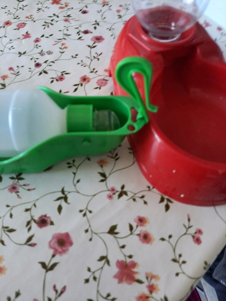 kedi soluğu - 4