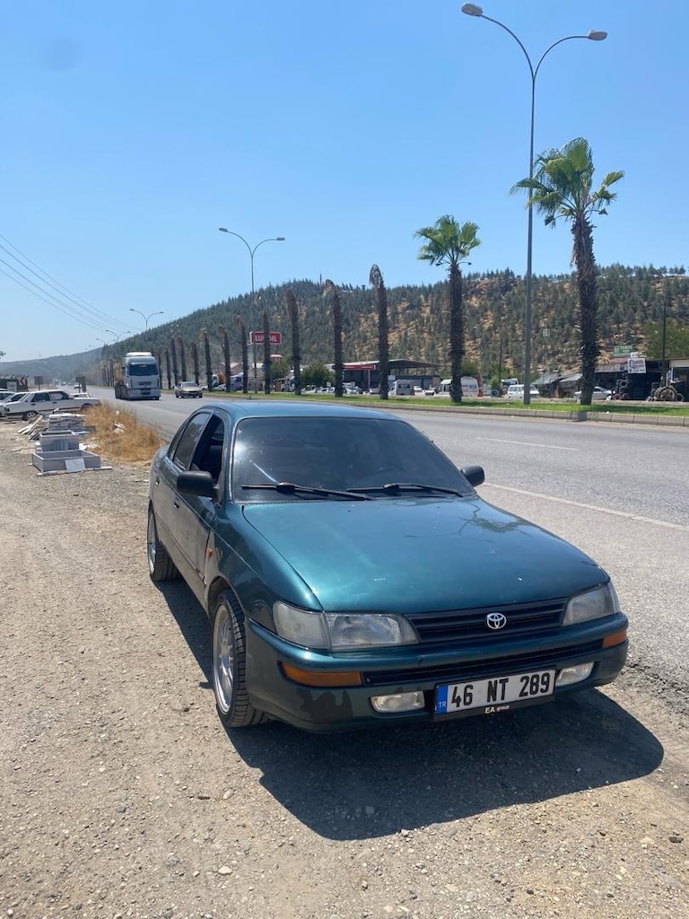 peynir ekmek parasına - 4