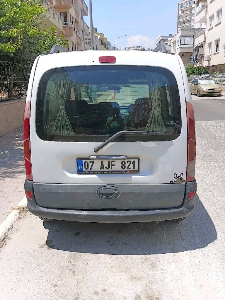 aile ve iş için uygun.Masrafsız temiz çürük dökük yok sağlam ve diri - 9