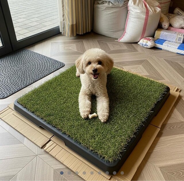 GreenPee Pro Akıllı Çim Tuvalet