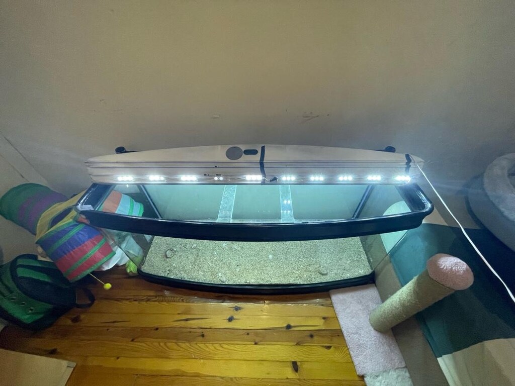 (Antalya İçi Nakliye Bizden!) Five Star Aquariums Dev Bombeli Akvaryum - 6