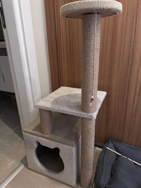 kedi evi